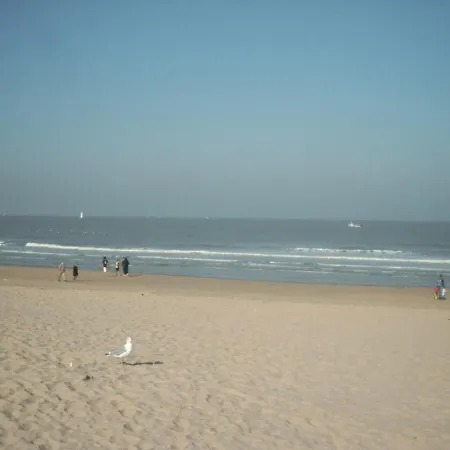 Groot Herenhuis Aan Zee * Blankenberge